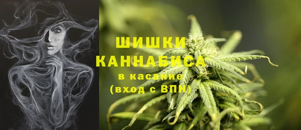 ПСИЛОЦИБИНОВЫЕ ГРИБЫ Волоколамск