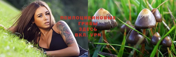 гидра Аркадак