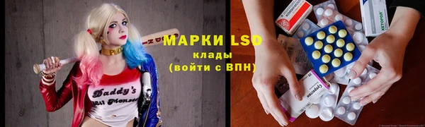 гидра Аркадак