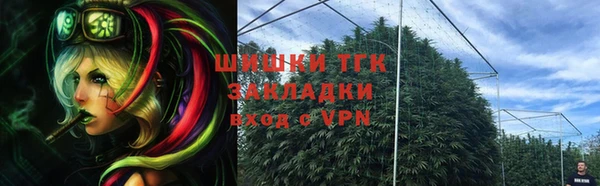 гидра Аркадак