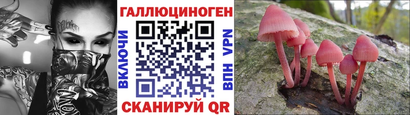 Галлюциногенные грибы прущие грибы  Полярные Зори 